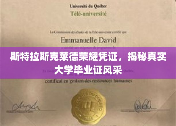 斯特拉斯克莱德荣耀凭证，揭秘真实大学毕业证风采