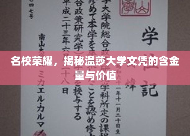温莎大学文凭背后的辉煌，探索其无与伦比的含金与价值
