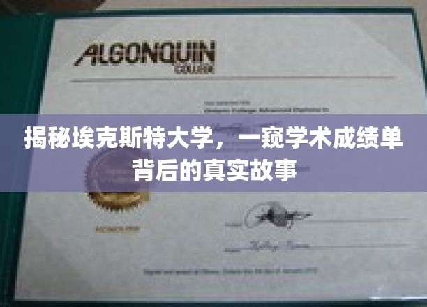 揭秘埃克斯特大学，一窥学术成绩单背后的真实故事