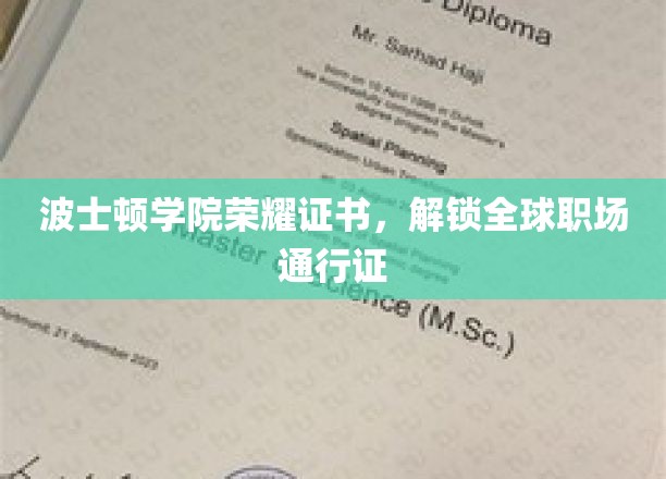 波士顿学院荣耀证书，开启全球职场新篇章