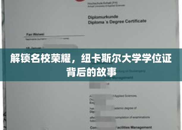 探寻纽卡斯尔大学荣耀，学位证背后的传奇历程