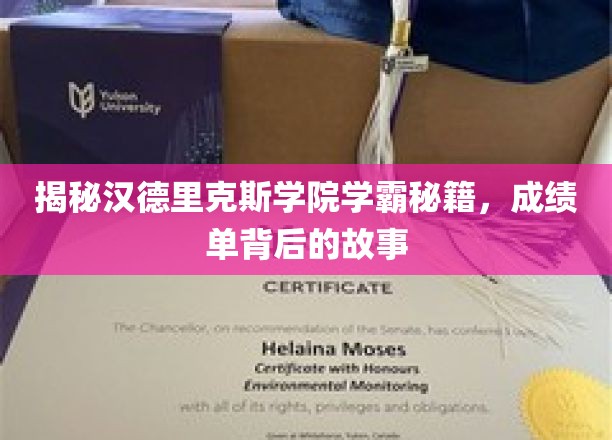 解锁学霸殿堂，汉德里克斯学院高分背后的智慧秘诀