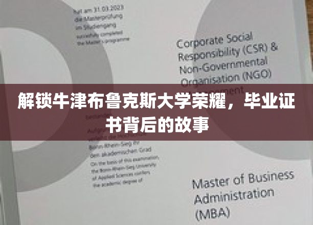 解锁牛津布鲁克斯大学荣耀，毕业证书背后的故事