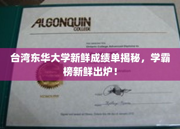 东华大学学霸风云录，最新成绩单大揭秘，谁将霸占榜首？