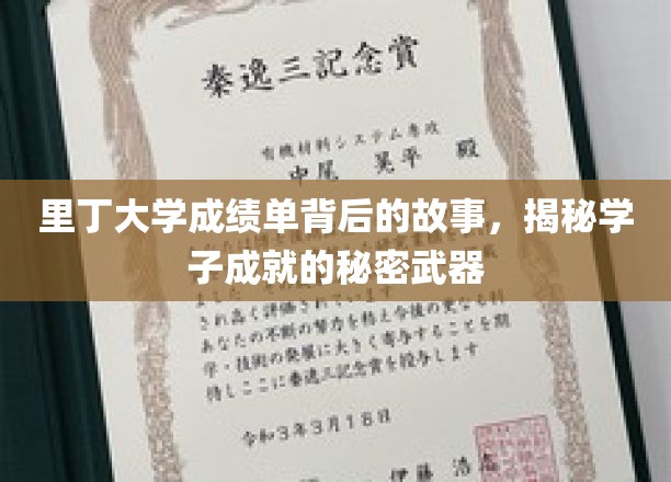 里丁大学成绩单背后的故事，揭示学子成就的秘密武器