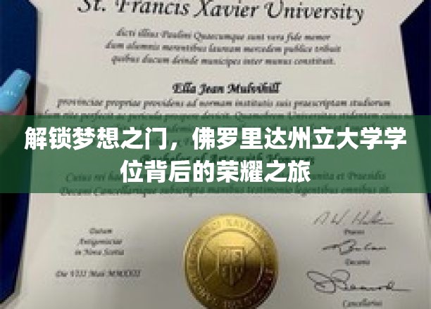 探寻佛罗里达州立大学荣耀学位的非凡之旅