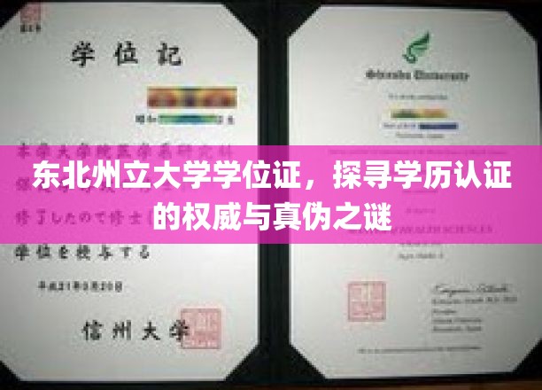 揭秘东北州立大学学位证，权威认证背后的真假迷局