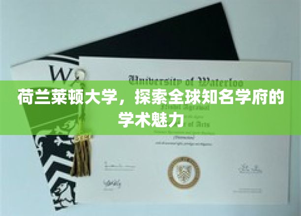 领略荷兰莱顿大学，世界级学术殿堂的独特风采