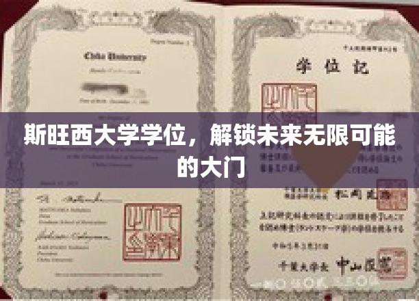 斯旺西学位通行证，开启人生无限潜能之旅