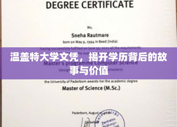 解码温盖特文凭，探究学历的深层价值与传奇背后