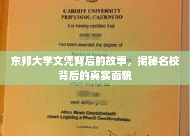 名校光环下的秘密，东邦大学文凭背后的不为人知篇章