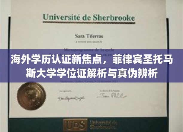 海外学历认证新焦点，菲律宾圣托马斯大学学位证解析与真伪辨析