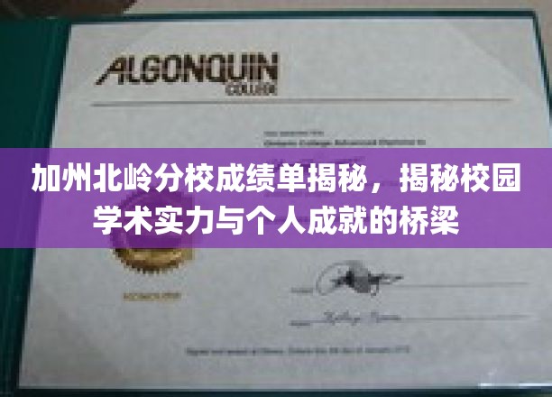 解码加州北岭分校，揭秘学术成就与个人辉煌的桥梁
