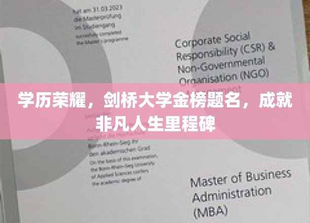 剑桥荣耀之路，学历巅峰，成就非凡人生新篇章