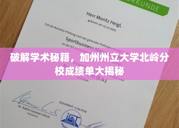 解锁加州州立大学北岭分校成绩奥秘，揭秘学霸之路