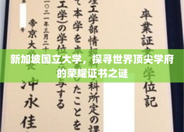 解码狮城精英，新加坡国立大学荣誉证书背后的传奇故事
