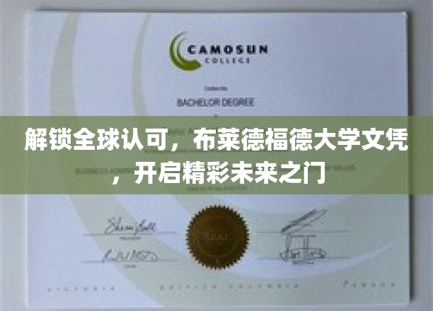 全球通行证在手，布莱德福德大学文凭助你梦想启航
