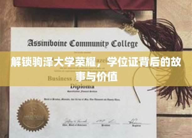 探寻驹泽荣耀之谜，学位证背后的传奇与深远意义