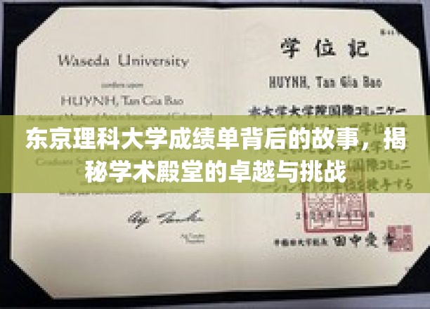 理科之光，东京理科大学成绩单中的奥秘与成长之旅