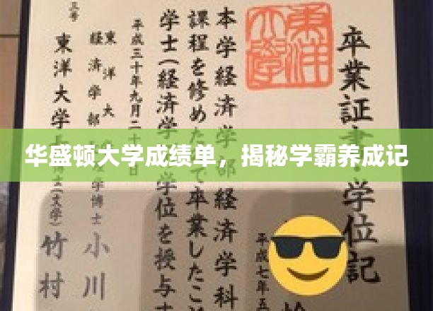 华盛顿大学成绩单，揭秘学霸养成记