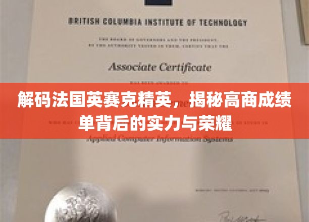 法国英赛克精英风采，探秘高商荣耀背后的非凡实力