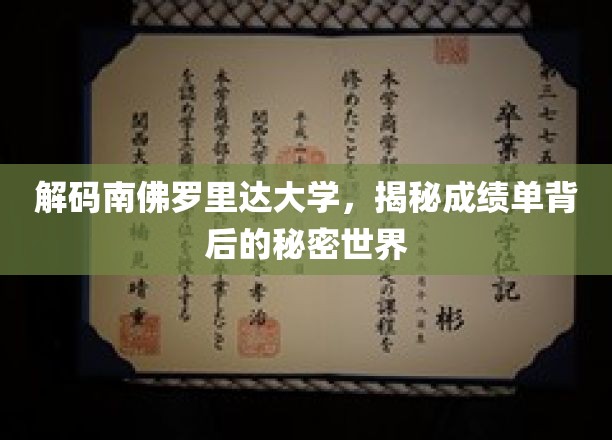 南佛罗里达大学揭秘，成绩单背后的独特魅力世界