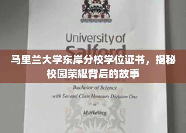 解码马里兰大学东岸分校荣耀证书，探寻校园传奇背后的故事