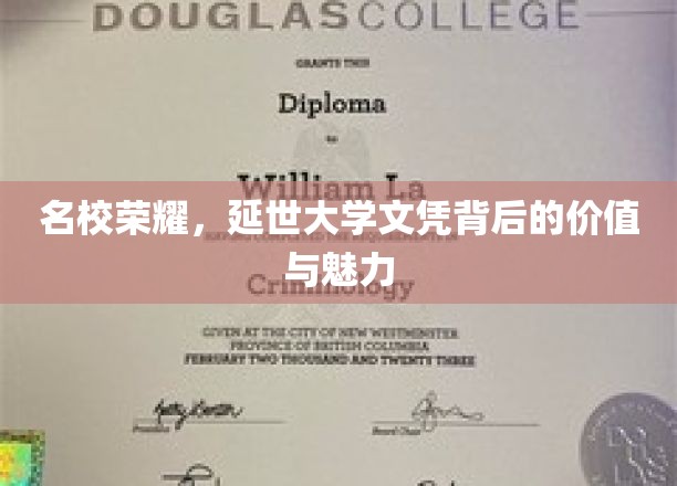 延世大学文凭，揭开名校荣耀背后的无尽魅力与价值