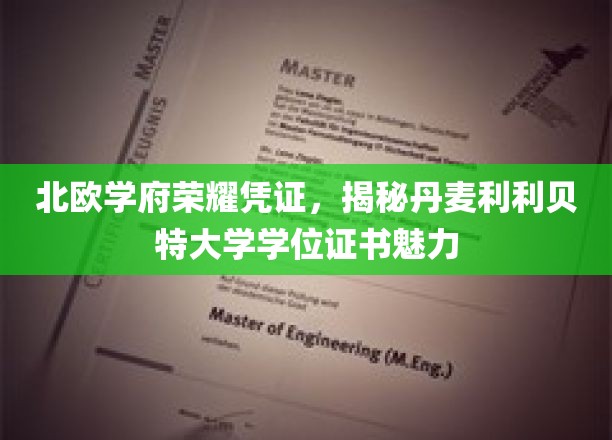 探寻北欧教育瑰宝，丹麦利利贝特大学学位证书的独特魅力