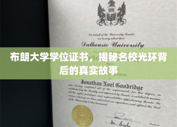 布朗大学学位证书，揭秘名校光环背后的真实故事