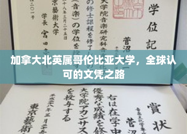 探索加拿大北英属哥伦比亚大学，通往国际认可的学历桥梁