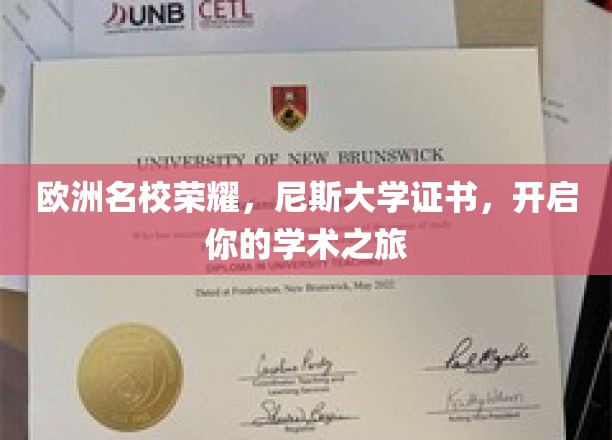 欧洲名校荣耀，尼斯大学证书，开启你的学术之旅