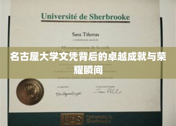 名古屋大学荣耀瞬间，探索文凭背后的卓越成就之旅