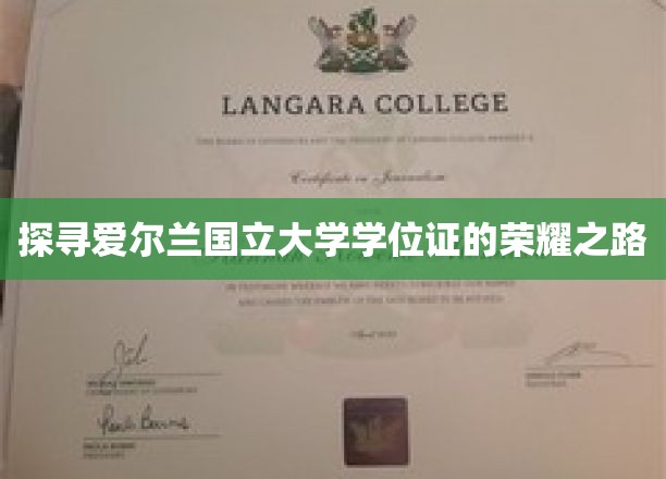 探寻爱尔兰国立大学学位证的荣耀之路