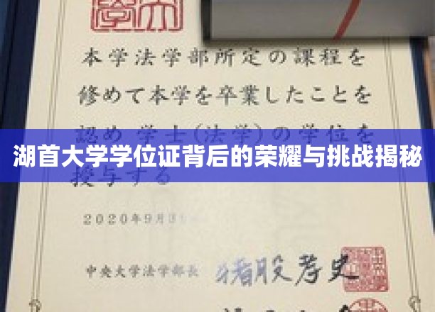 探寻湖首大学学位证的荣耀之路，背后的艰辛与辉煌
