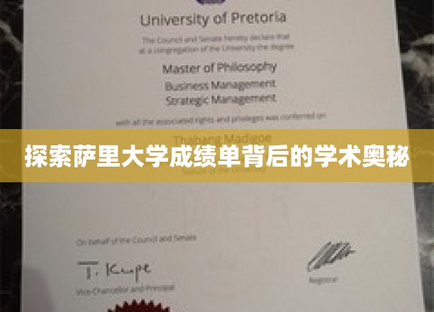 揭秘萨里大学成绩单，揭开学术成就的神秘面纱