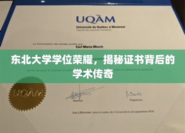 东北大学学位荣耀，揭秘证书背后的学术传奇