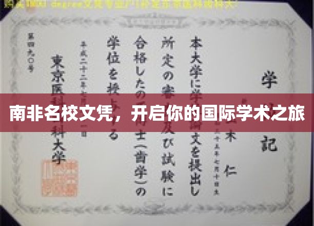 跨越国界，南非顶尖学府文凭助你迈向全球学术舞台