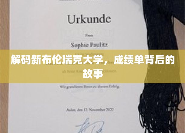 揭开新布伦瑞克大学成绩单背后的精彩篇章