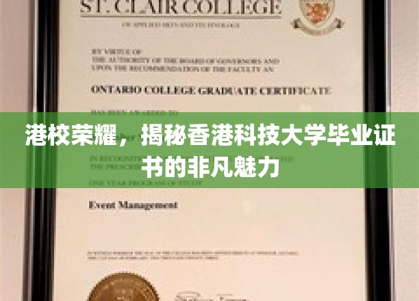 解码港校精英名片，香港科技大学证书的非凡吸引力
