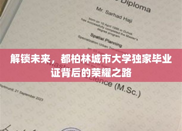 揭秘都柏林城市大学，毕业证背后的非凡征程