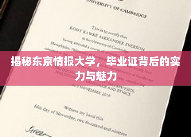 东京情报大学毕业证，解锁未来世界的钥匙