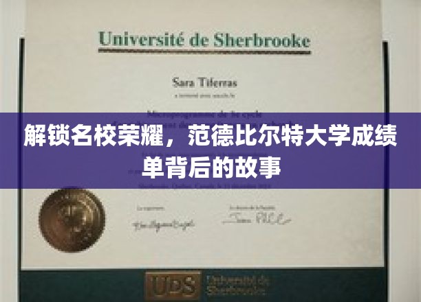 探索名校荣耀，揭秘范德比尔特大学成绩单背后的故事