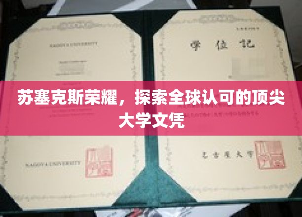 苏塞克斯荣耀，探索全球认可的顶尖大学文凭
