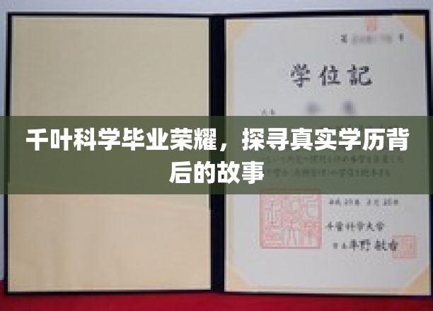 千叶科学大学毕业荣耀，探寻真实学历背后的故事