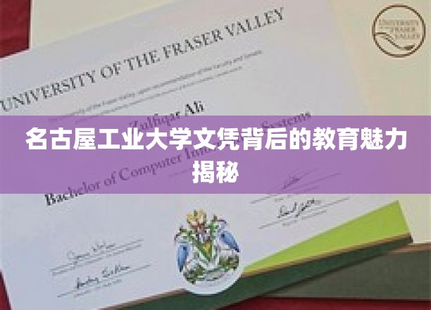 名古屋工业大学文凭背后的教育魅力探秘