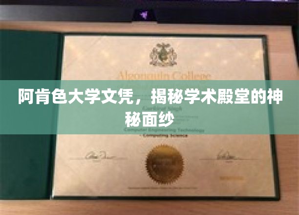 穿越阿肯色大学文凭，一窥高等学府的辉煌奥秘