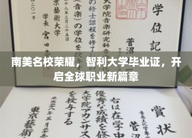 智利大学荣耀证照，助你踏足国际职场新天地