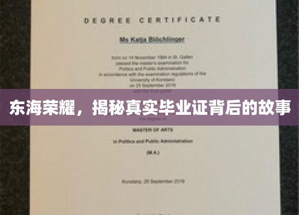 东海之光，探寻毕业证背后的荣耀传奇