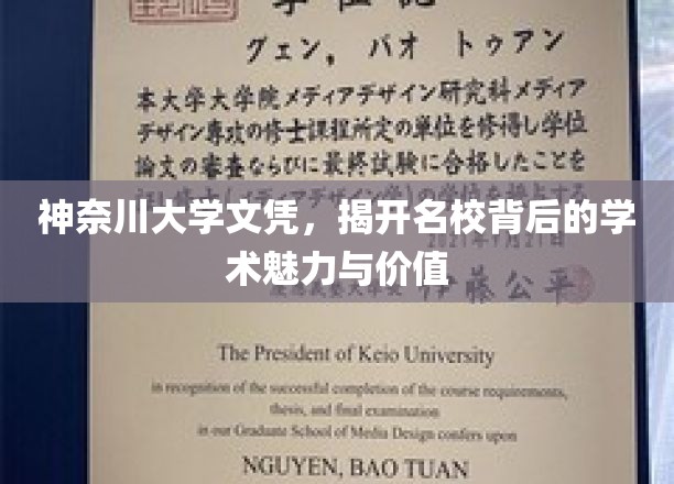 神奈川大学文凭，揭秘名校背后的学术魅力与价值